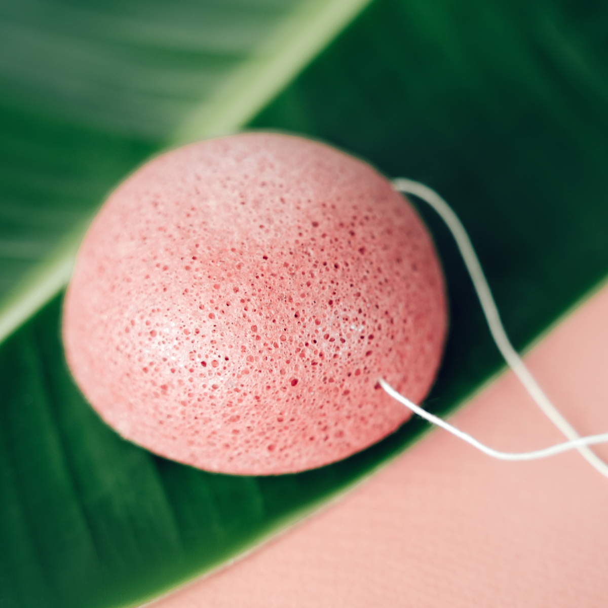 Natural Konjac Facial Sponge – Round, Soft & Biodegradable