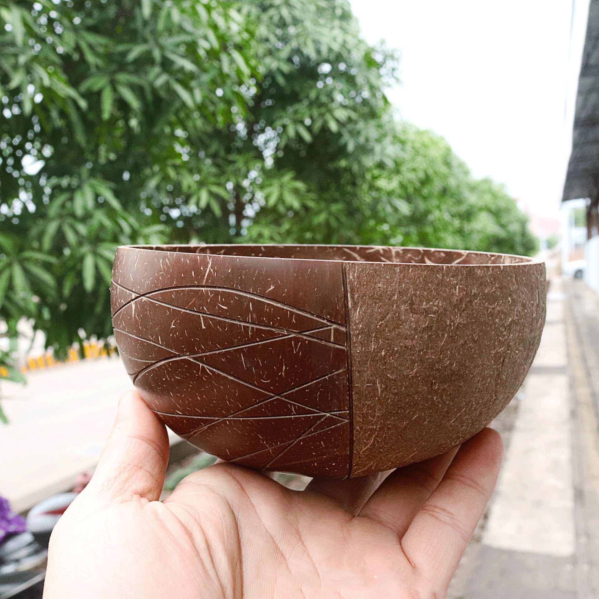 Natural Coconut Bowl – Sustainable & Handcrafted Beauty for Everyday Use