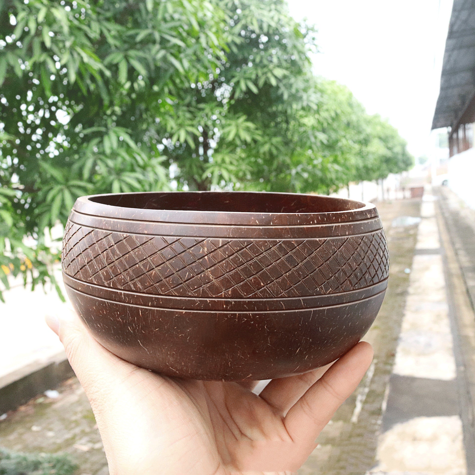 Natural Coconut Bowl – Sustainable & Handcrafted Beauty for Everyday Use