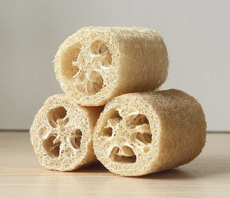 Natural Loofah Dish Scrubber – With or Without Hanging Loop