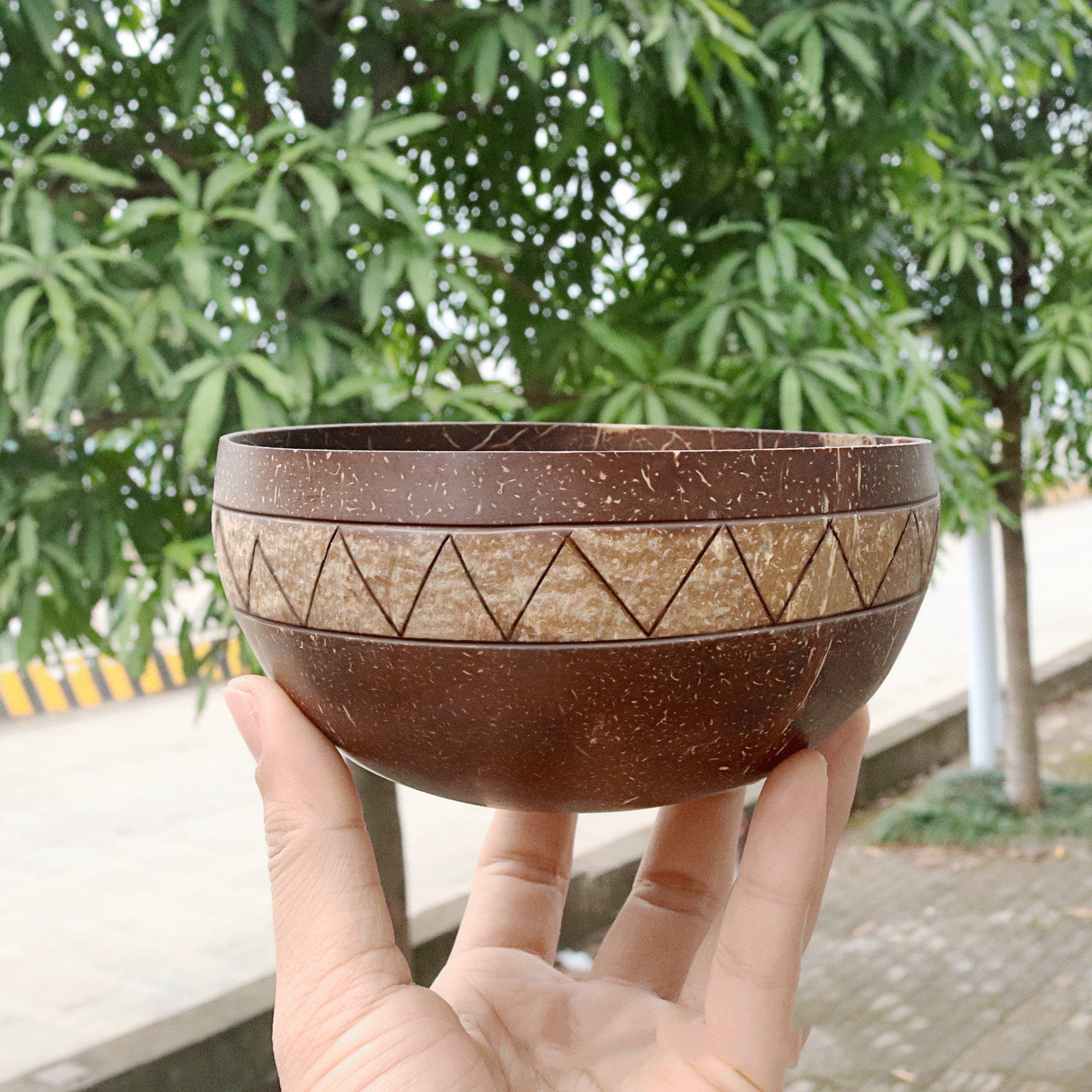 Natural Coconut Bowl – Sustainable & Handcrafted Beauty for Everyday Use