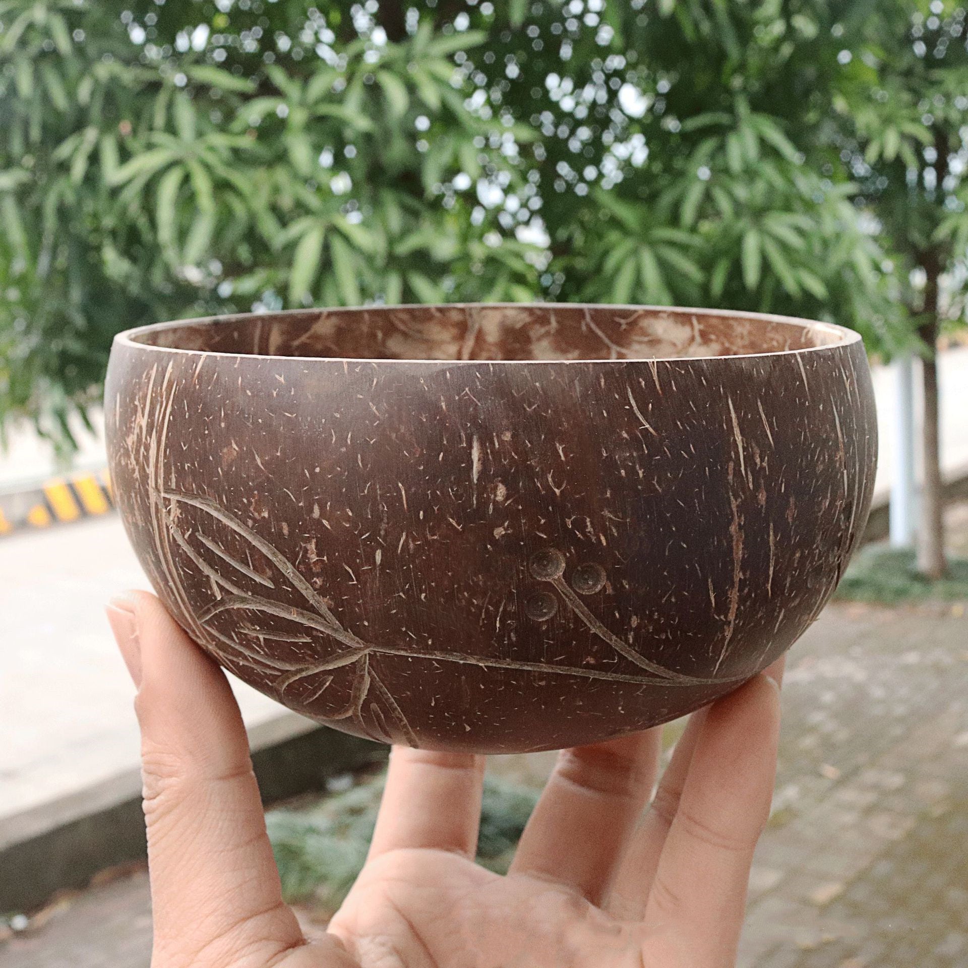 Natural Coconut Bowl – Sustainable & Handcrafted Beauty for Everyday Use